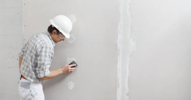 Best Emergency Mold Remediation  in Ansonia, OH