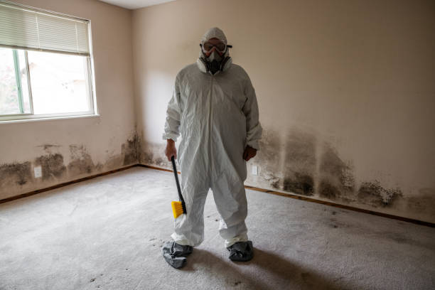 Best Comprehensive Air Testing for Mold Contaminants  in Ansonia, OH